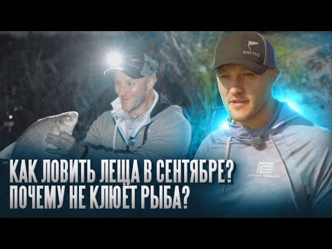 Видео: Как ловить леща в сентябре? Почему  не работают осенние схемы? Что делать если не клюёт? #fishing