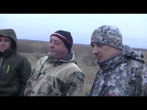 Видео: Состязания гончих им.Быкова Е.Т. 2019