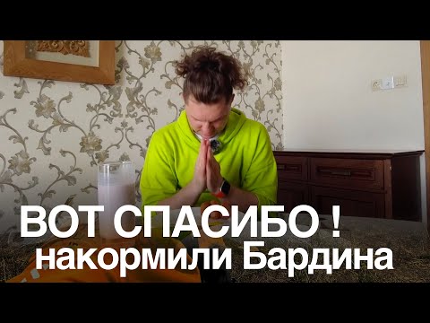 Видео: ВОТ СПАСИБО! Накормили Бардина !))
