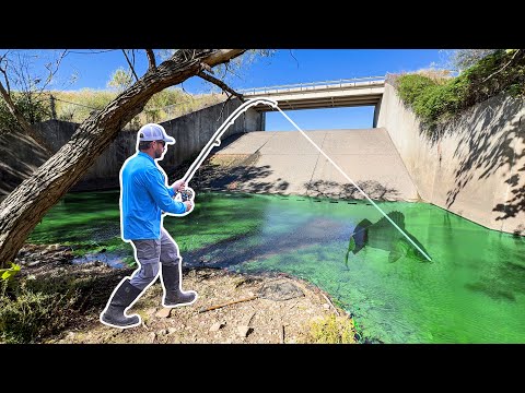 Видео: Я нашел ОГРОМНУЮ рыбу, живущую в МАЛЕНЬКОМ РЕЧЕКЕ!!!