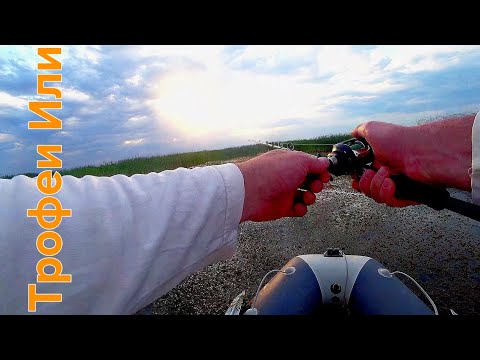 Видео: ✅️ ПОКЛЁВКА ЗА ПОКЛЁВКОЙ// РЫБАЛКА ОХОТА НА ЗМЕЕГОЛОВА//РАЗЛИВЫ КАПЧАГАЯ 