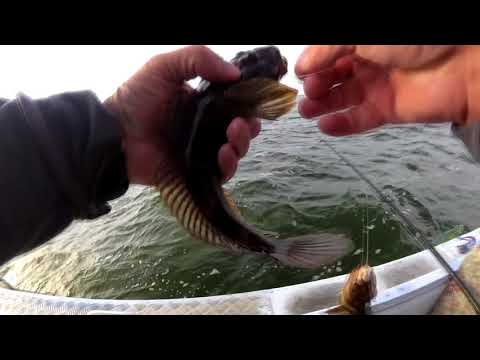 Видео: Ловля кнута на Банке. Сумасшедший клев бычка!!! Рыбалка на Черном море