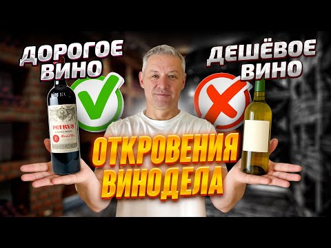 Видео: ДЕШЁВОЕ И ДОРОГОЕ ВИНО! За что вы ПЛАТИТЕ? Откровения ВИНОДЕЛА!