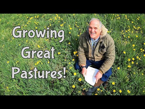 Видео: Как мы выращиваем великолепные пастбища