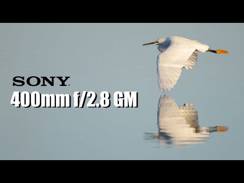 Видео: Тестирование объектива Sony 400mm f/2.8 GM и телеконвертеров