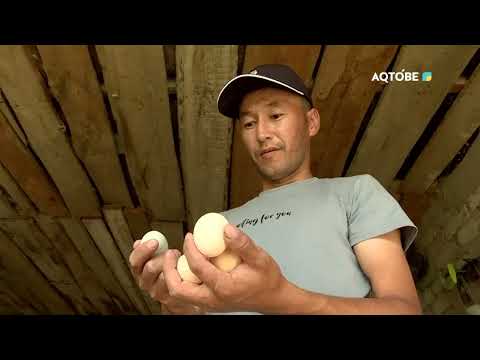 Видео: Ауыл аманаты Ырғыз ауданы 13.06.2023 жыл