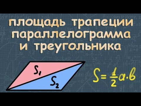 Видео: Площадь параллелограмма треугольника и трапеции