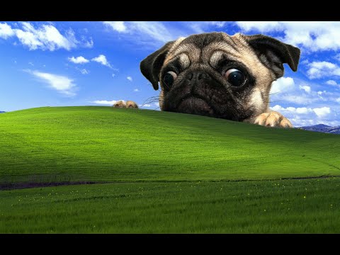 Видео: Эта игра лучше горебокса? ОБЗОР ИГРЫ Endorphin Vice