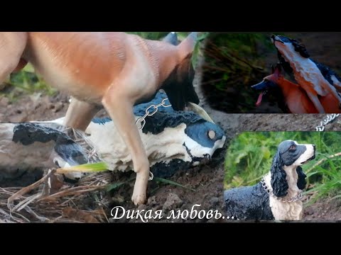 Видео: schleich/шляйх фильм "дикая любовь" 2 часть. шляйх фильм про собачью любовь и верность⭐