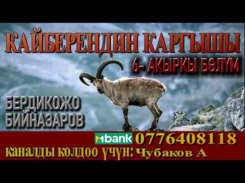 Видео: КАЙБЕРЕНДИН КАРГЫШЫ \ 6-АКЫРКЫ БӨЛҮМ \ БЕРДИКОЖО БИЙНАЗАРОВ