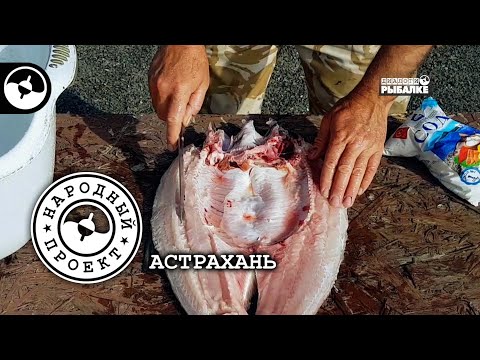 Видео: Балык из жереха | Полевая кухня