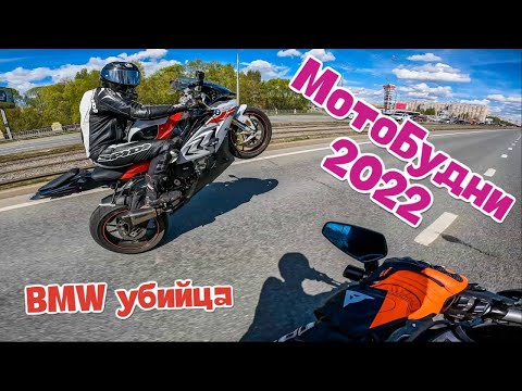 Видео: МотоБудни #23 ПТИЧКУ ЖАЛКО | BMW КАК ВСЕГДА