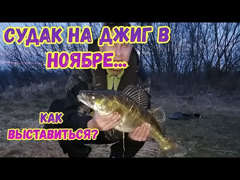 Видео: ПРАВИЛЬНО ВЫСТАВЛЯЕМСЯ, 100% ПОЙМАЕШЬ!!!СУДАК НА ДЖИГ В НОЯБРЕ..