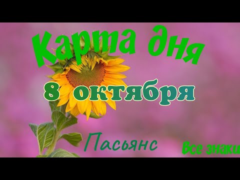 Видео: Карта дня🍁 8 октября🌾🌞Пасьянс. Тайм-код в описании🦢