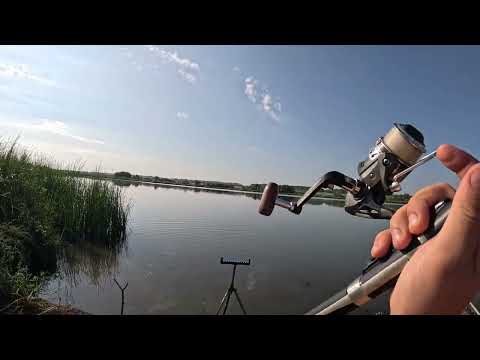 Видео: 50 кг Карпа. Сумасшедшая рыбалка в Мордовии. Рецепт ухи в казане.