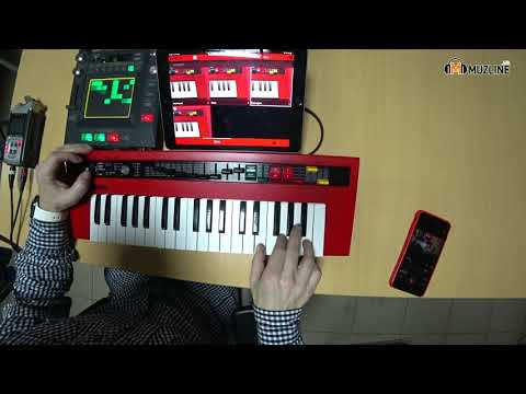 Видео: Yamaha Reface YC/Soundmondo/Presets/Сохранение пресетов/Обзор/Демонстрация/Орган