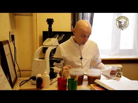 Видео: Пыльцевой анализ Мёда из Республики Татарстан