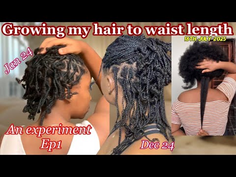 Видео: Как я отращиваю волосы до талии в 2025 году!!! ЭКСПЕРИМЕНТ 🍃 Мини-косички для роста волос в 2025 ...