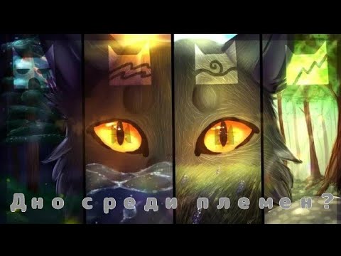 Видео: Худшее племя в "Котах Воителях"