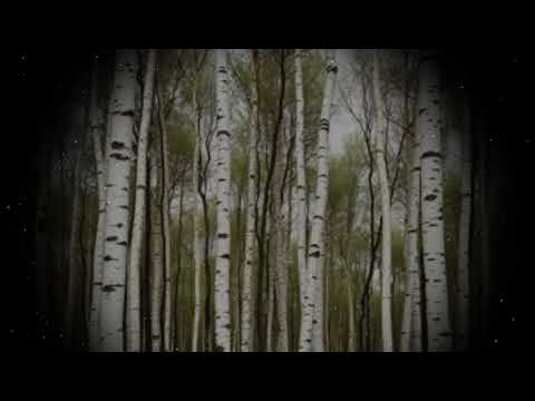 Видео: Русская народная песня - во поле береза стояла (Remix Cover)