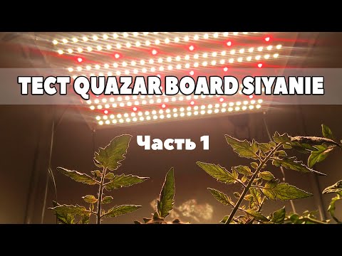 Видео: #19 Тест Quazar Board Siyanie на томатах черри на гидропонике / Mr.GrowChannel