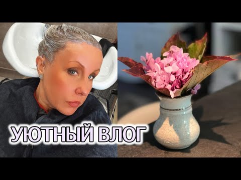 Видео: ПРОГУЛКА СО СВЕКРОВЬЮ. Сын уехал.  МОИ ЗАВТРАКИ. Новый цвет волос