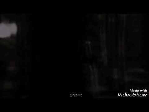 Видео: Кэтин и Деймон:" Туманы"