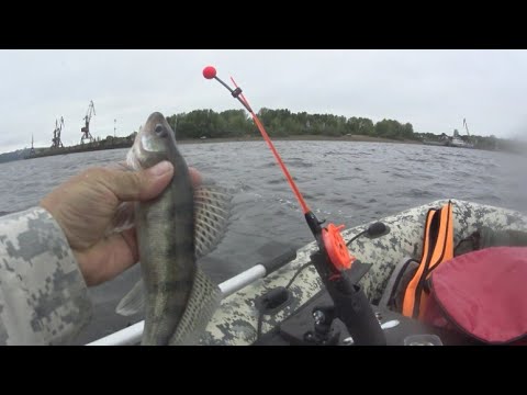 Видео: Ловля Берша в отвес с лодки  ГЭС  Кама, сентябрь