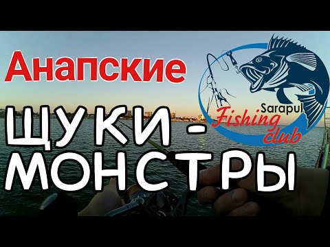 Видео: Рыбалка в Анапе.