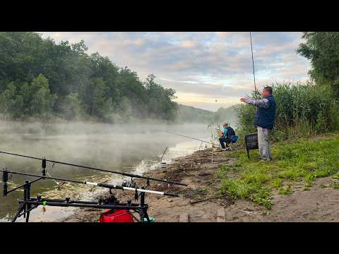 Видео: 🐠🐟 ЗАБРОШЕННЫЙ ПРУД с КАРАСЯМИ ЛОПАТАМИ / РЫБАЛКА С НОЧЕВКОЙ 2025 🐠🐟