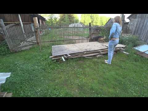 Видео: ПРИВЕЗ ДВЕРЬ,МАКС ВЫРВАЛ ЗУБЫ,РЕМОНТ БАЛАЛАЙКИ