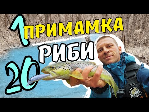 Видео: ПЪСТЪРВИ в УРАГАНЕН ВЯТЪР!!! КАКВО е ПОЛОЖЕНИЕТО на РАЙСКАТА РЕКА???