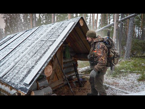 Видео: УШЁЛ ОХОТИТЬСЯ И РЫБАЧИТЬ НА МЕЛКУЮ ТАЁЖНУЮ РЕЧКУ В ИЗБУ "БОРОВУЮ"