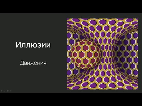 Видео: Нейробиология восприятия. Лекция 8. Где-путь