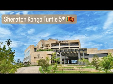Видео: Sheraton Kongo Turtle Beach Resort 5* с хорошим сервисом,вкусным питанием #шриланка