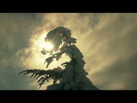 Видео: Симеон Афонский о молитве, учебе у старца, вхождении в Предание и о фальшивой духовности