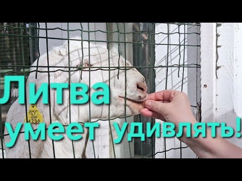 Видео: Литва.HBH PALANGA и маленький шопинг.