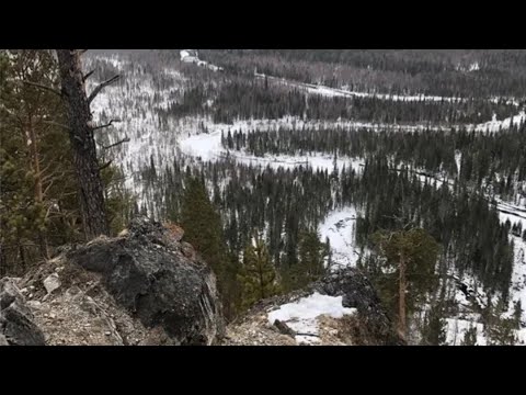 Видео: Усольцевы Красноярск что случилось на самом деле