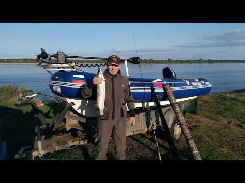Видео: haswing с gps на риб пвх установка 1