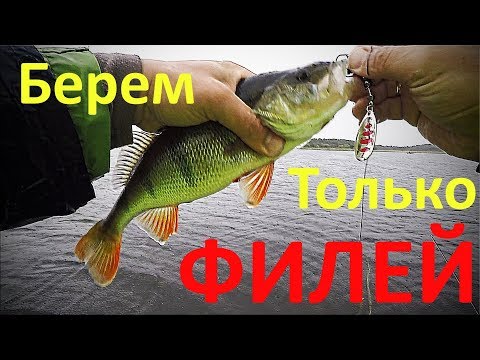 Видео: Рыбалка с ночёвкой на острове Сааремаа. Окунь на вертушки и воблеры Pontoon21