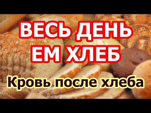 Видео: Весь день ем хлеб. Эксперимент с кровью