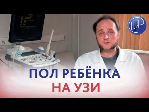 Видео: Пол ребёнка на УЗИ. Может ли УЗИ ошибаться с полом ребёнка? Врач УЗД ЦИР Воеводин Ф.С.
