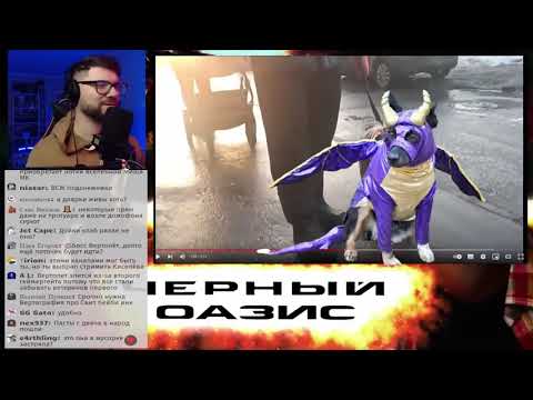 Видео: Спайрака или собайро?