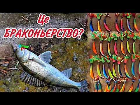 Видео: !!! ЛИЖА на СУДАКА !!! це БРАКОНЬЄРСТВО чи ЧІТЕРСТВО? Така ПРОВОДКА знайде СУДАКА за 30 хвилин!