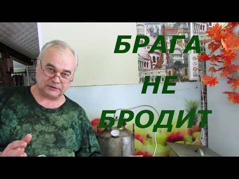 Видео: Брага не бродит. Что делать? / Самогоноварение / #СамогонСаныч