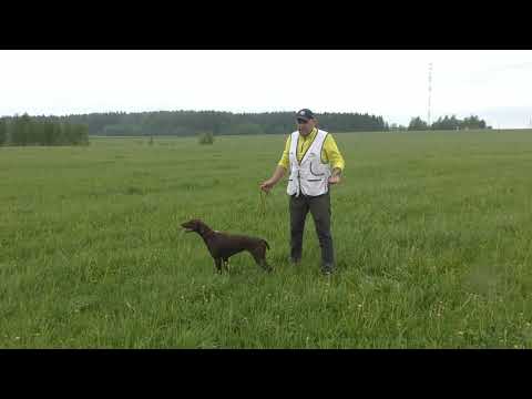 Видео: 3. НАТАСКА ЛЕГАВЫХ/ ЧЕЛНОК