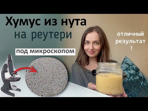 Видео: Готовим вкусный хумус и смотрим его под микроскопом.