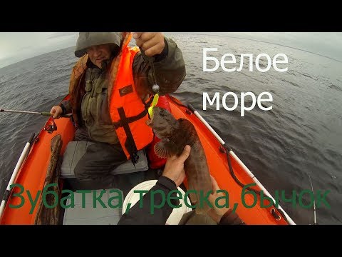 Видео: За треской на Белое море