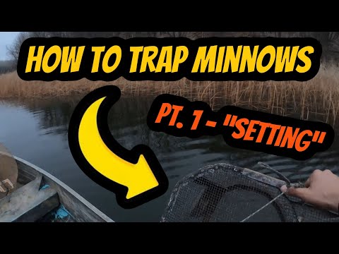 Видео: «Как ловить пескарей» (Часть 1) «Установка ловушек для пескарей»