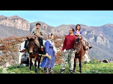 Видео: Осенняя миграция кочевников из высокогорья в теплые и спокойные места